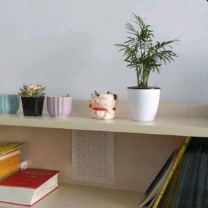 河间小学生 头像