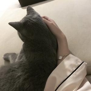 木木木木木木子 头像