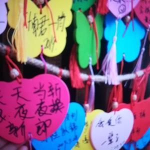 江城小惠