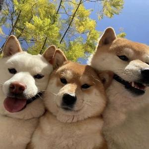 为何如此焦虑？ 头像