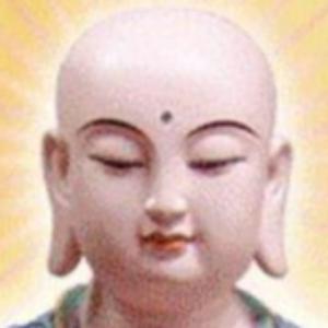 爱生活的葡萄CarrX8 头像