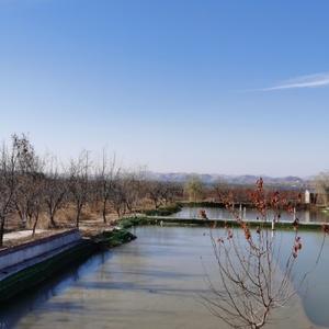 我爱大连海景 头像