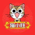 猫小胜头像