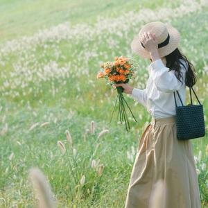 快乐风铃c6 头像