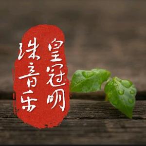 皇冠明珠音乐头像