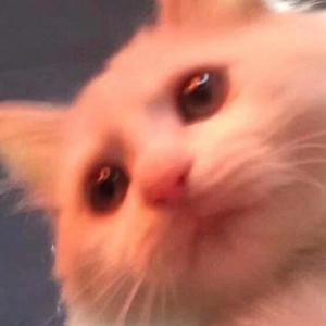 悦人 头像