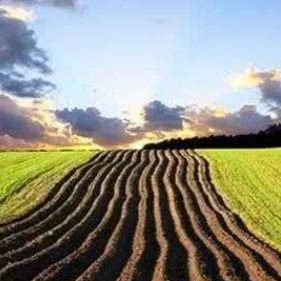 种地小能手 头像