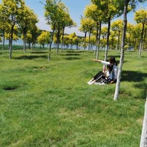 原创精彩小视频 头像