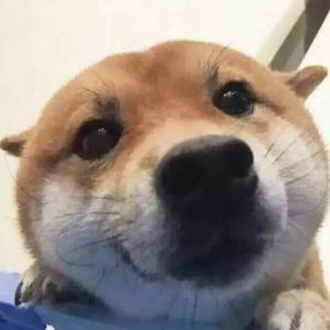 机圈观察员灬 头像