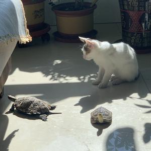 爱生活的中年大叔 头像