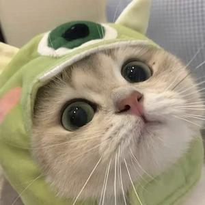 各种奇葩认知 头像