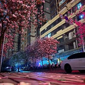 6艘航母+6艘075+6艘076，这个组合应该是东方大国海军的最佳选择——可以兼顾战力搭配和成本维护。 山东舰造价230亿， 福建舰造价450 ...