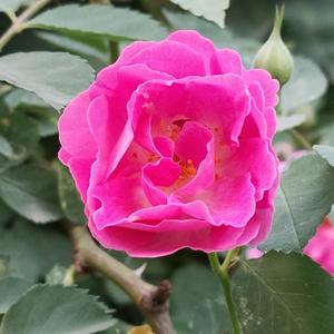 心灵好物分享3J2r 头像