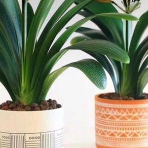 宾彬写故事 头像