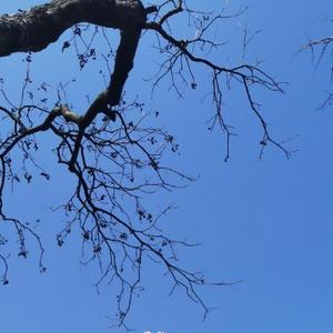 阿燕的读书笔记 头像