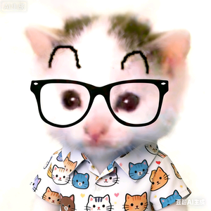 猫处(无畏契约) 头像