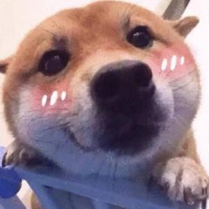 哒公赢 头像