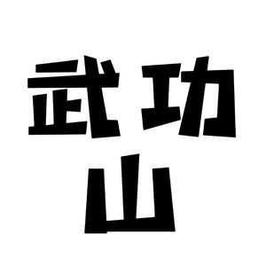 wugongshanzhusu 头像