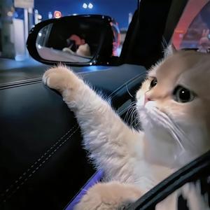 入墨科普 头像