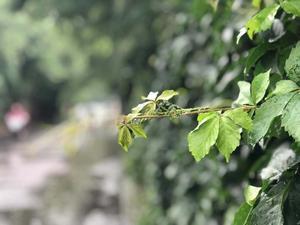 心灵健康港湾头像