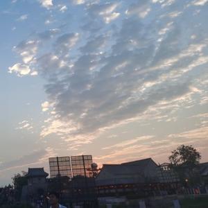 淡泊明志LL 头像