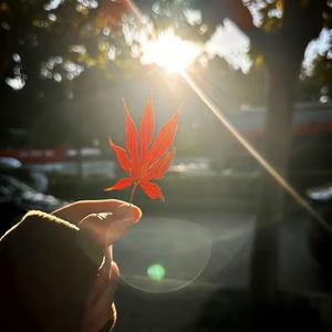 漫步的路人 头像