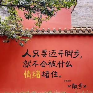 小芳子纪实 头像