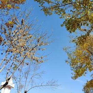 看看哥推的影视和书 头像