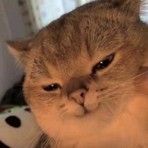 聪明的蛋蛋爱分享 头像