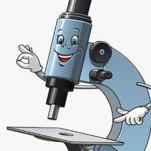 娱乐圈显微镜 头像