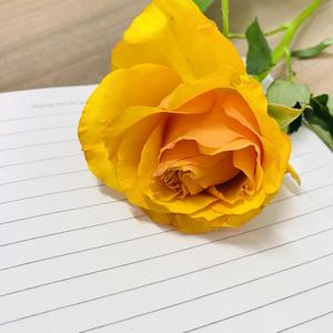 娱乐小纸条 头像