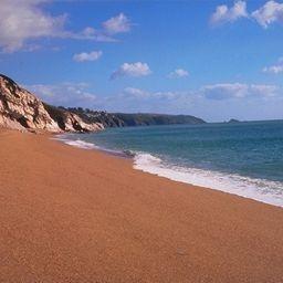 虾条看天下 头像