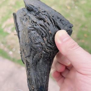 佳人育儿 头像