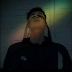 不羁的洋洋 头像