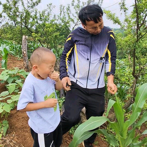 大锤和小锤头像