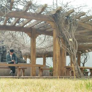 史迪奇怪仔 头像