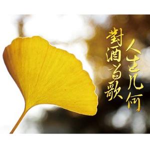 谈酒说笑一小汪