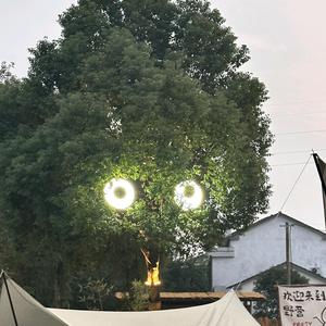 草帽姐的散笔 头像