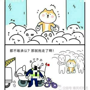 法系车民间专家头像