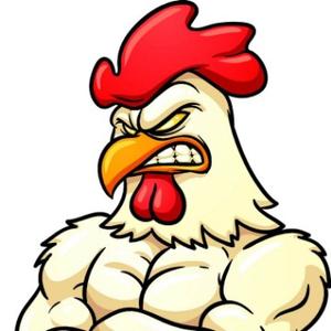 鸡哥聊财经 头像