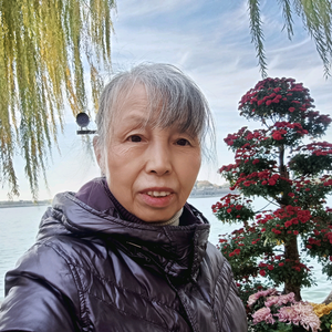 初中数学名校真题 头像