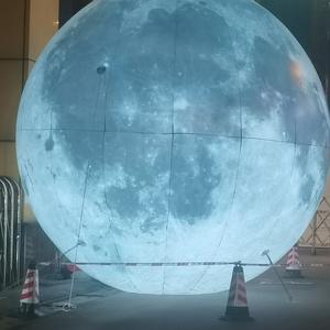 爱吃缤纷甜品的燕郁闷 头像