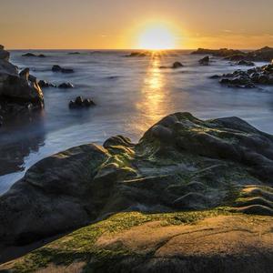 小鱼来说事儿 头像