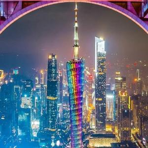 出坑记