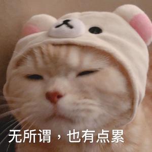 爱思考的胡乱分享 头像