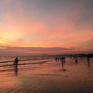 奔跑的巴拉森 头像