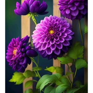 若木笙杂谈 头像