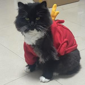 绿水本无忧 头像