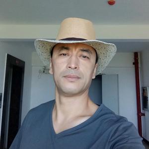 心平气和灰太狼 头像