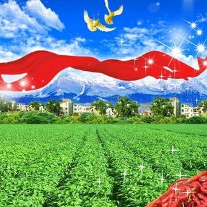 五味三农